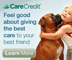Care Credit Paymet System